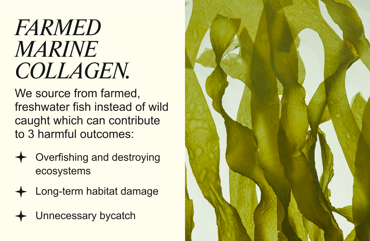 Farmed Marine Collagen