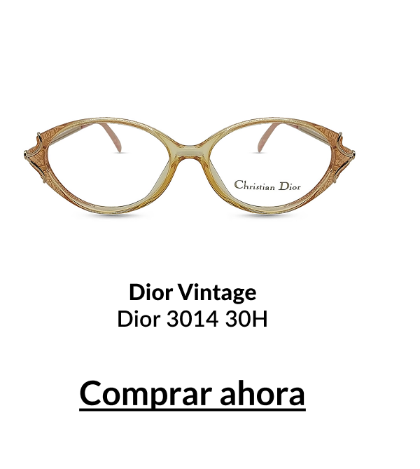 Dior Vintage Dior 3014 30H