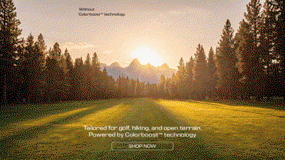 Discover how Vector filters glare without losing true color