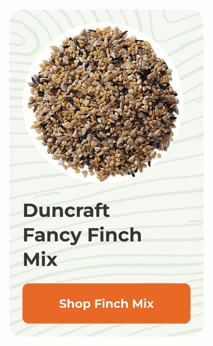 Duncraft Fancy Finch Mix