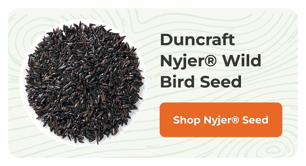 Duncraft Nyjer® Wild Bird Seed