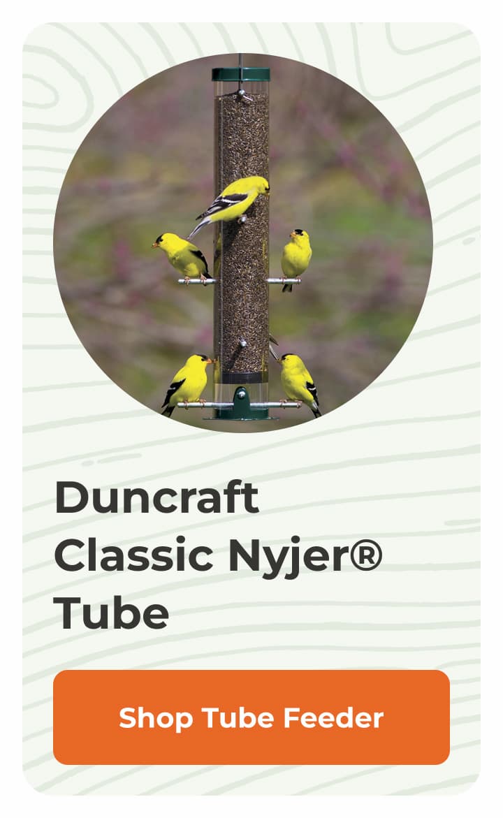 Duncraft Classic Nyjer® Tube