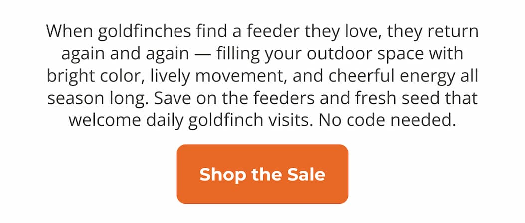 Goldfinches have a preferred seed