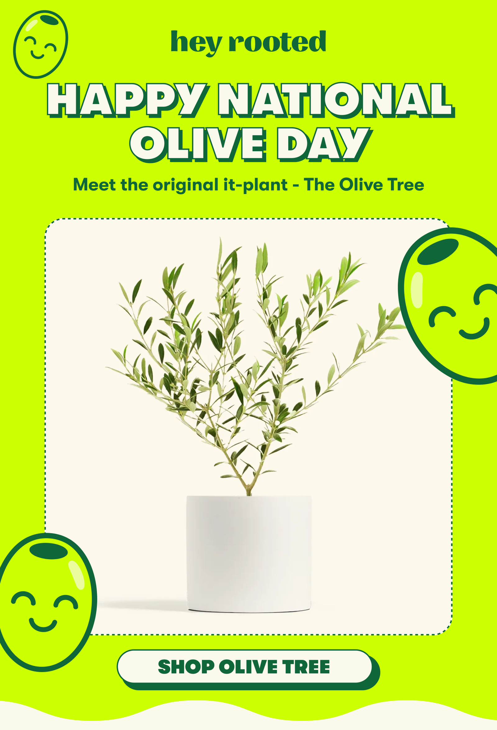 Happy national olive day