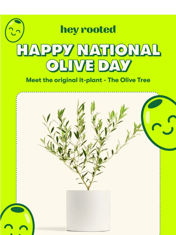 🫒National Olive Day just gave you the perfect excuse…