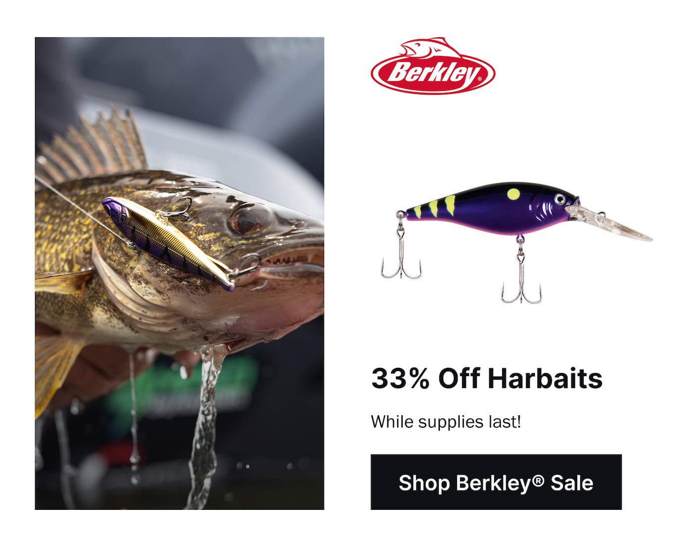 Berkley Offers