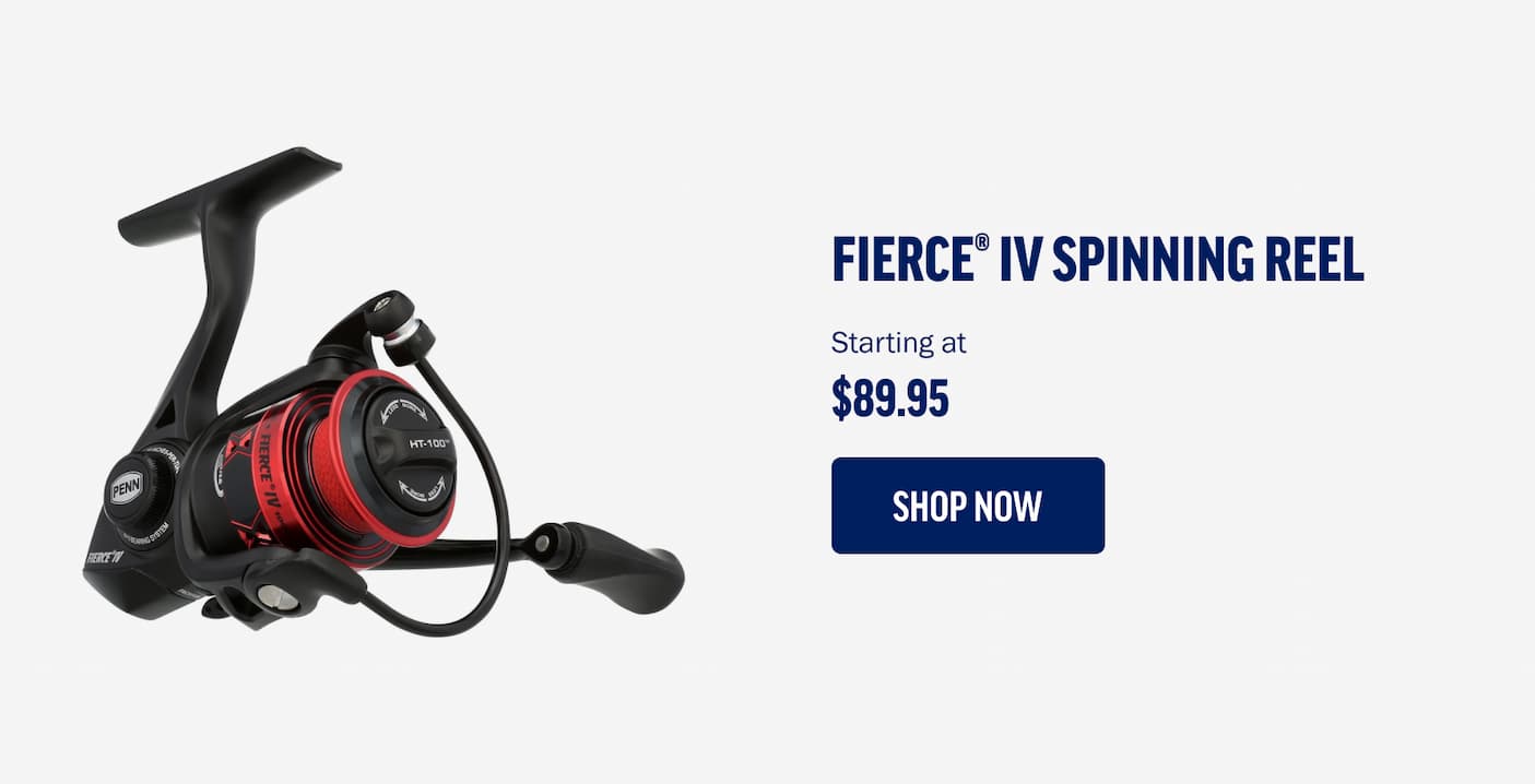 Fierce IV Spinning Reel