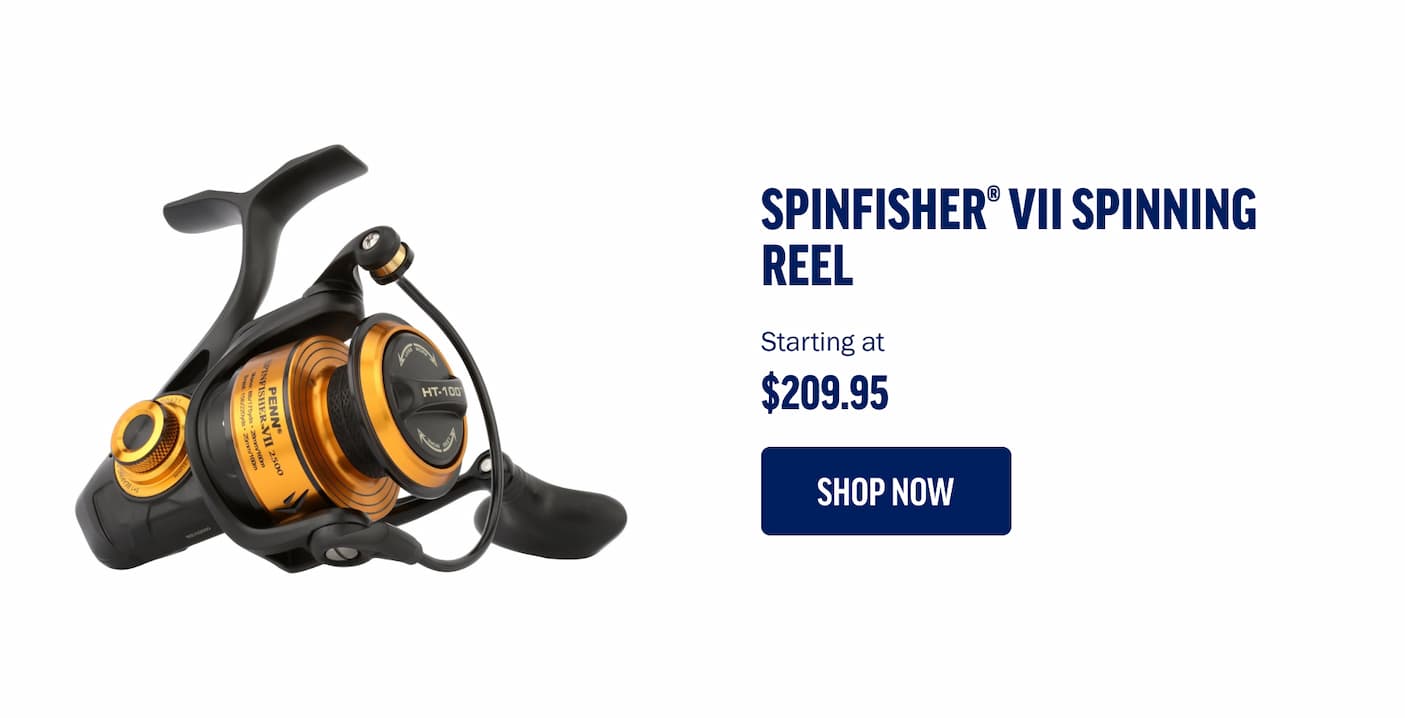 Spinfisher VII Spinning Reel