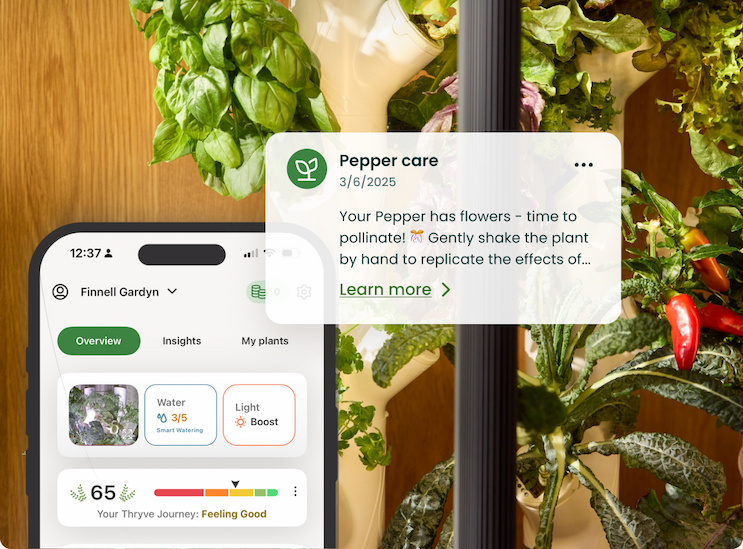 Kelby is your personal master gardener who knows what your plants need next.