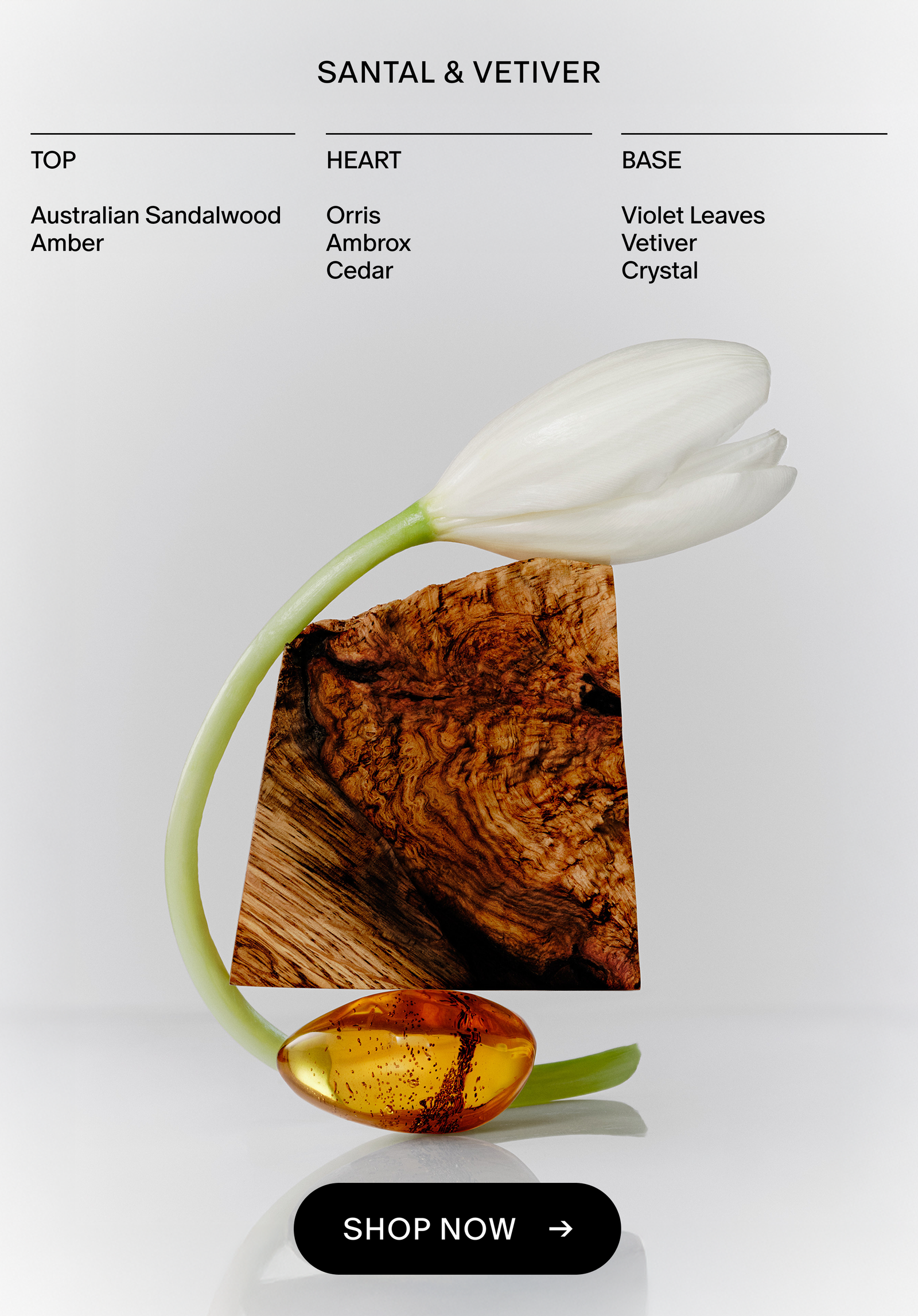 scent notes