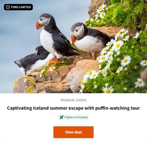 Captivating Iceland summer escape with puffin-watching tour