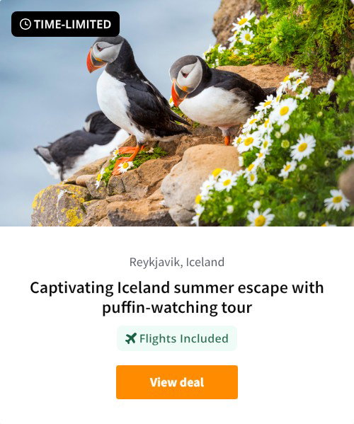 Captivating Iceland summer escape with puffin-watching tour