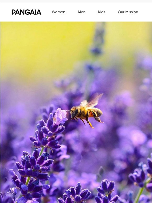 Bee:Wild T-Shirt. Back by demand