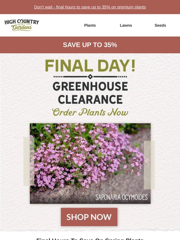 Last Chance: Save Up To 35% - Ends Today