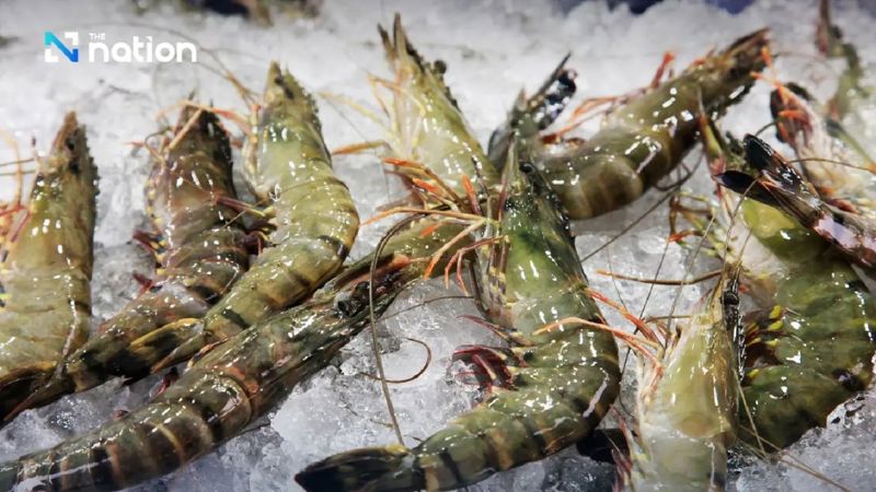 Malaysia to suspend imports of sea bass and five Thai shrimp species from June 1