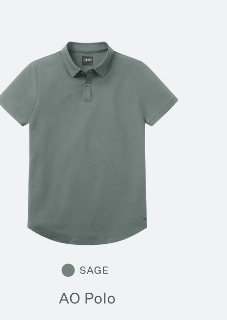 AO Polo - Sage