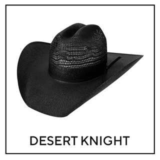 Desert Knight 