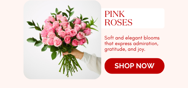 Pink Roses