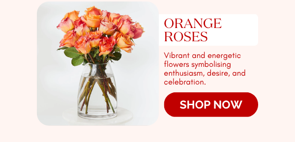 Orange Roses