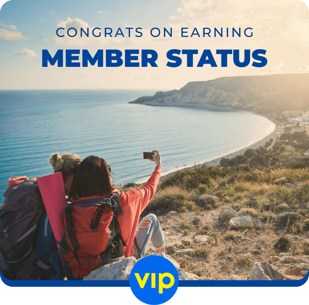 VIP Monthly Summary