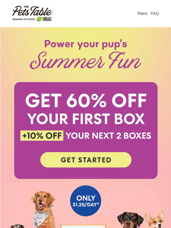 Fuel your pup's summer fun with 60% OFF 🏝️