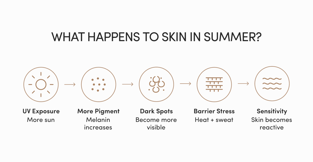 What happens to skin in summer?
