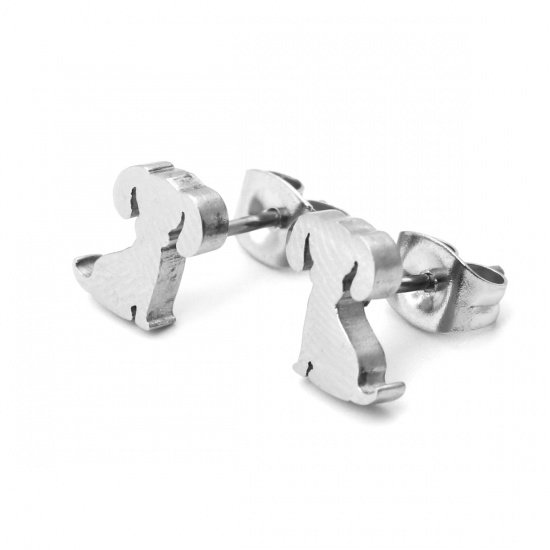 Stainless Steel Stud Earrings