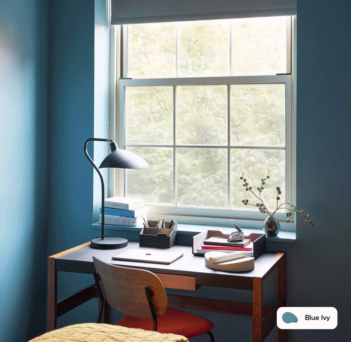 Gif of Clare painted spaces featuring Lemonade, Vintage and Blue Ivy