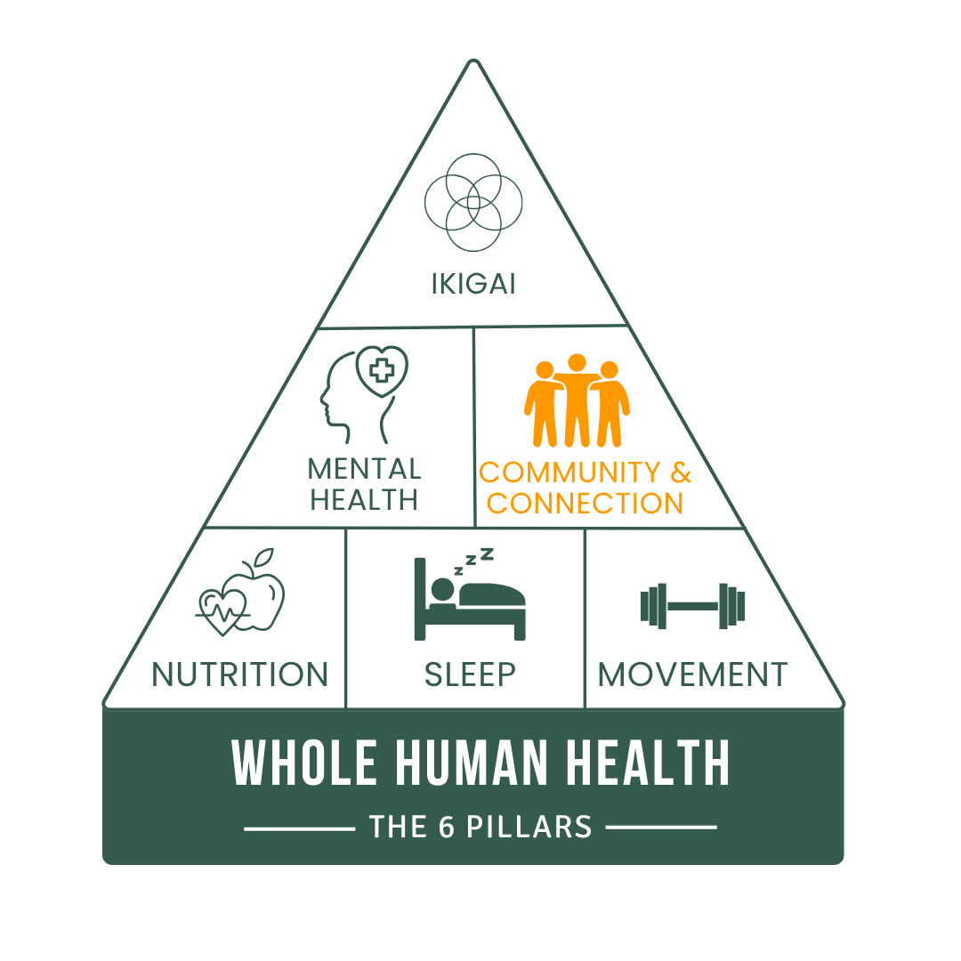 Pillars of Whole Human Health 