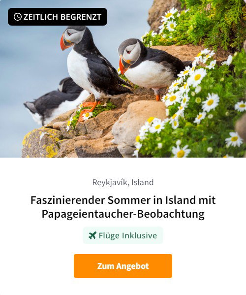 Faszinierender Sommer in Island mit Papageientaucher-Beobachtung