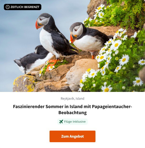 Faszinierender Sommer in Island mit Papageientaucher-Beobachtung