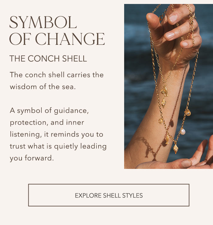 Explore Shell Styles