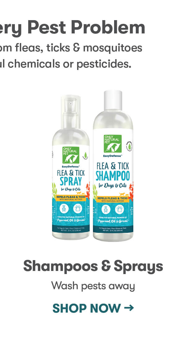 SHOP NOW