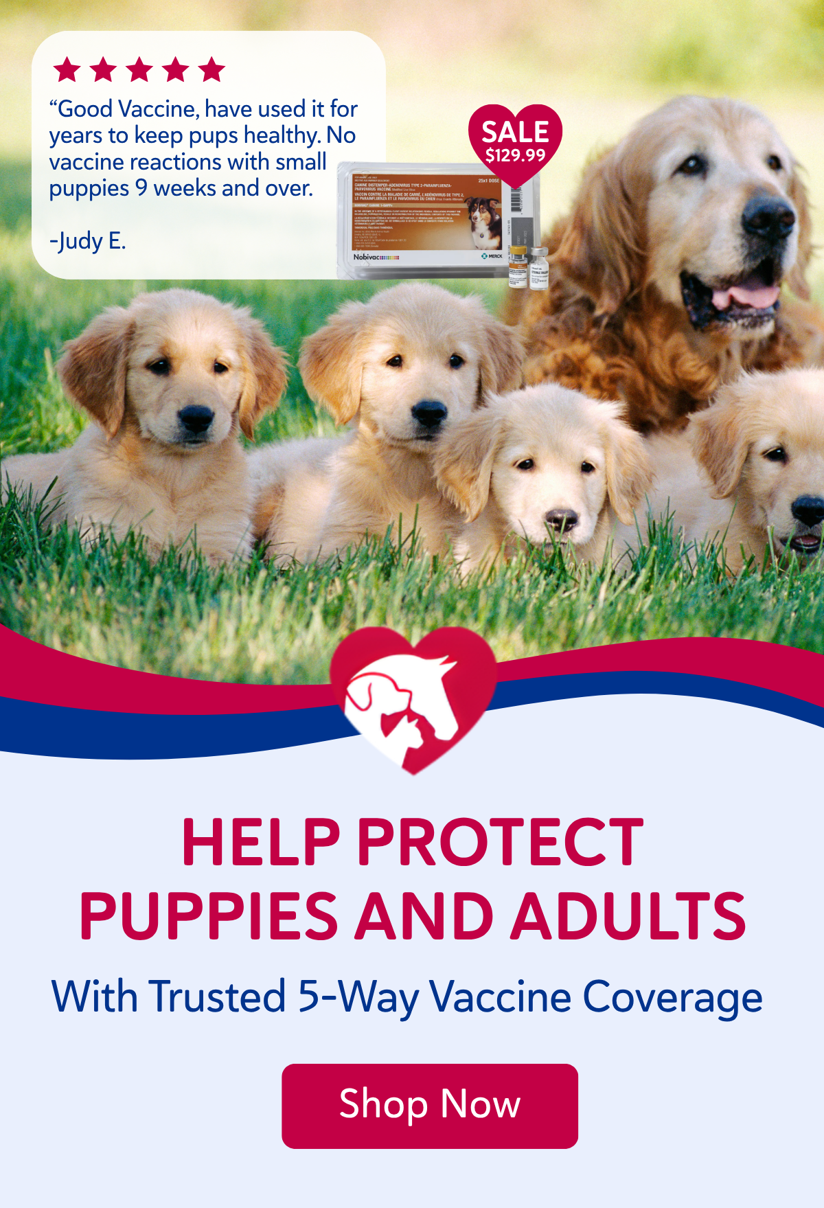 Help protect puppies and adults with trusted 5-way vaccine coverage 