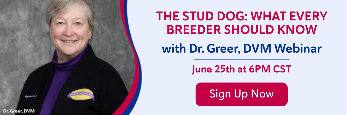 Sign Up Now