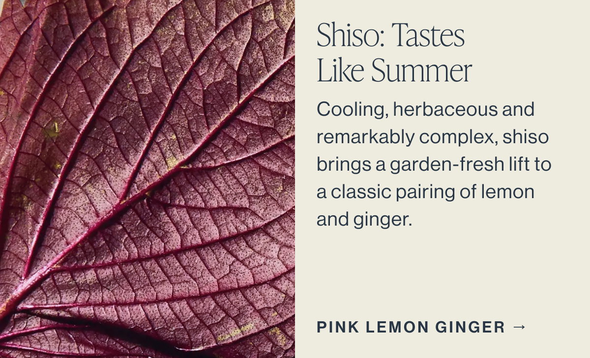 Shiso: Tastes Like Summer  [[PINK LEMON GINGER →]]