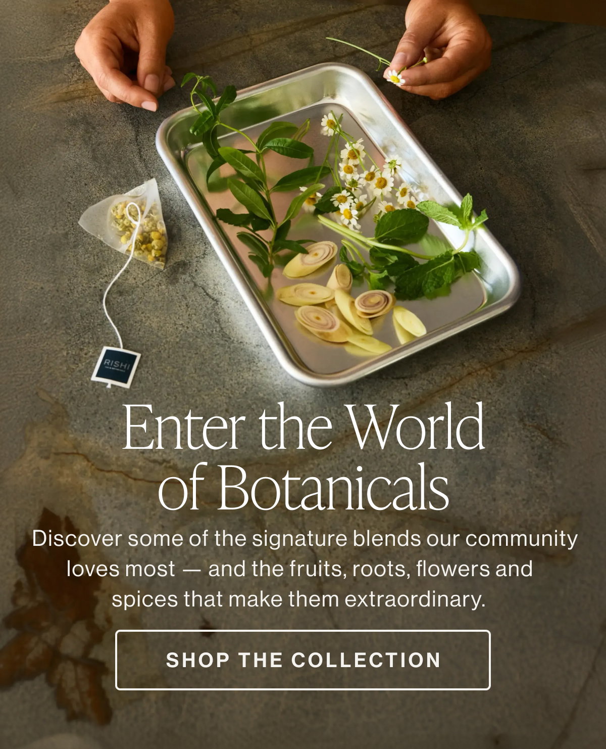 Enter the World of Botanicals  [[SHOP THE COLLECTION]]