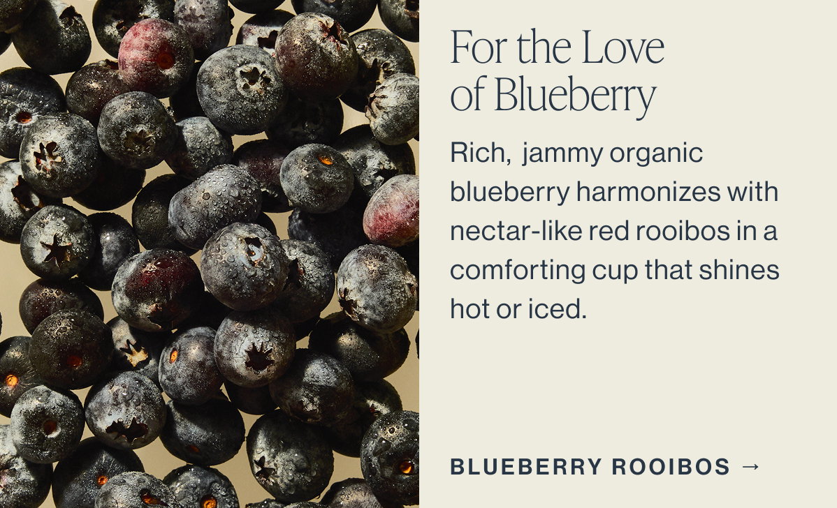 For the Love of Blueberry  [[BLUEBERRY ROOIBOS →]]