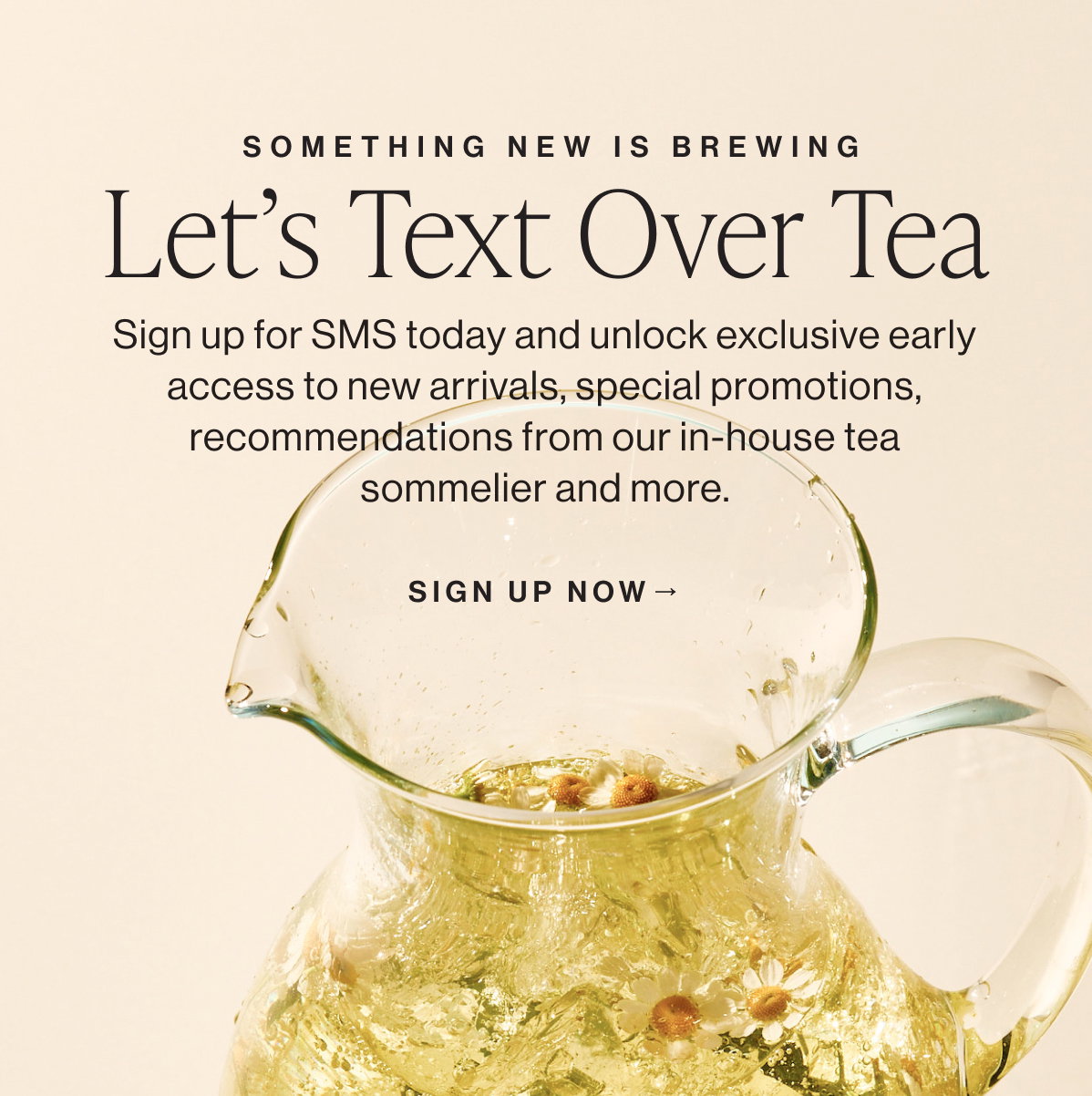 Something New is Brewing  Let’s Text Over Tea  [[SIGN UP NOW →]]