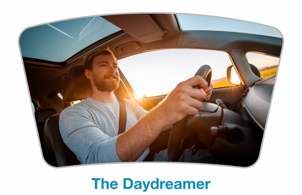 The Daydreamer