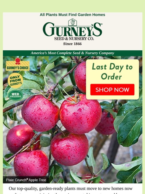 Spring plant order deadline is TODAY!