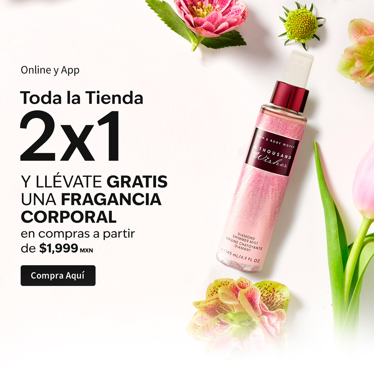 Toda la Tienda 2x1