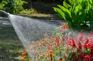 7 items you need to make it through this hot and hectic summer