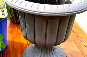 Add these to your porch to banish mosquitos in 30 minutes