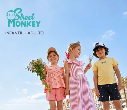 Street Monkey