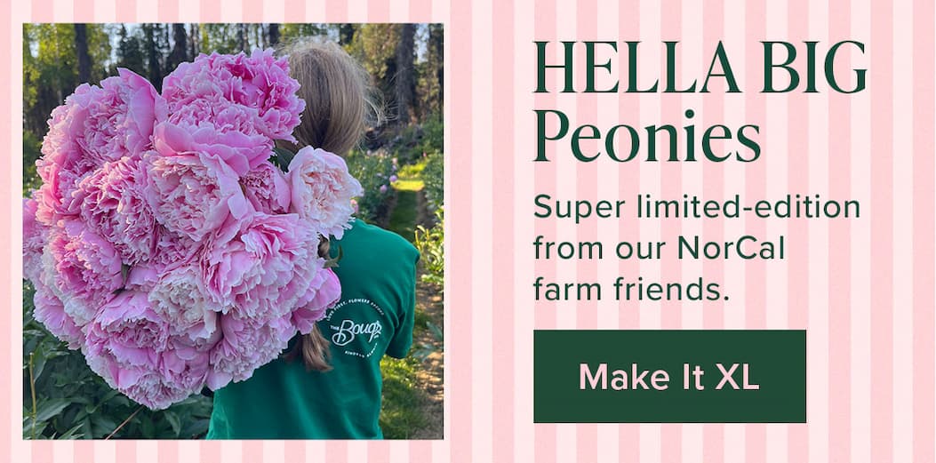 HELLA BIG Peonies. Super limited-edition from our NorCal farm friends. Make It XL