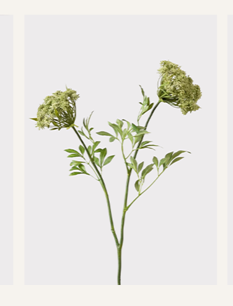 Faux Queen Anne's Lace Wildflowers - 36