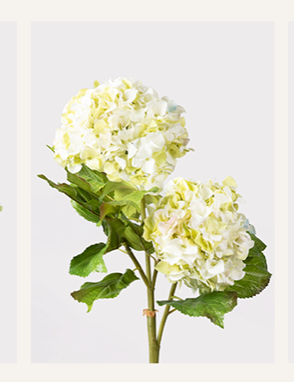 Cream Green Artificial Hydrangea Branch - 36