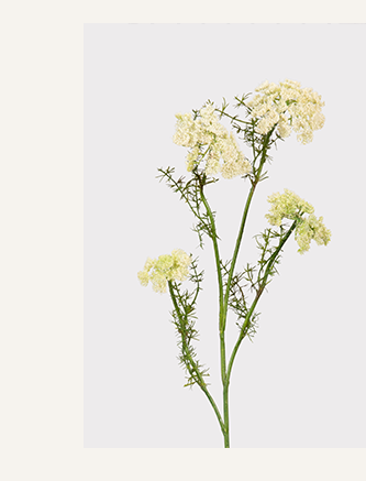 Artificial Dill Wildflower Branch - 33