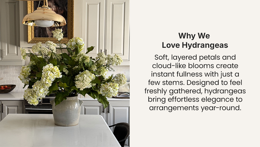 Why We Love Hydrangeas